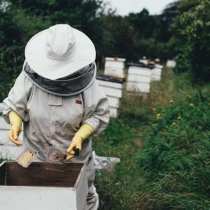 пчелар на терен