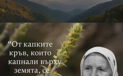 3 неща, които (вероятно) не знаеш за мурсалския чай